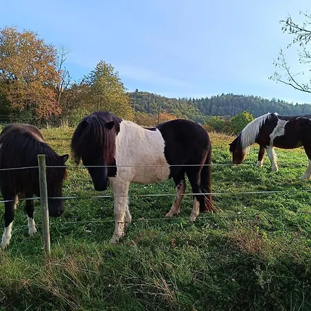 4 Schneewittchendorf *