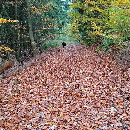 4 Schneewittchendorf * Bad Wildungen